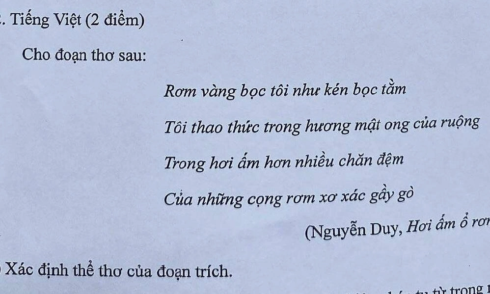 Đề thi Ngữ văn trường chuyên Khoa học Tự nhiên