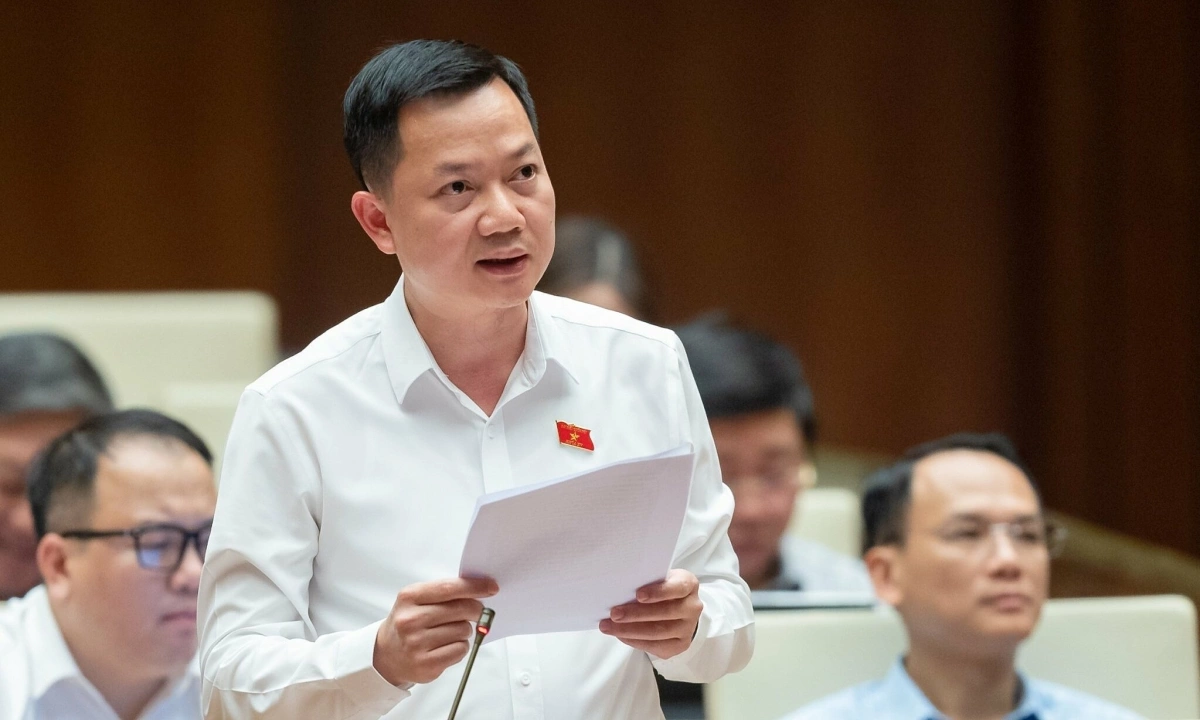 Gallery - 'Cần lắng nghe dư luận về phim Đất rừng phương Nam thay vì đòi xử lý' - VnExpress