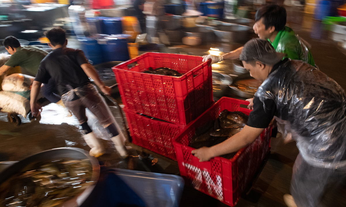 Gallery - 300 tấn cá lóc đổ về chợ đầu mối TP HCM trước ngày vía Thần Tài - VnExpress