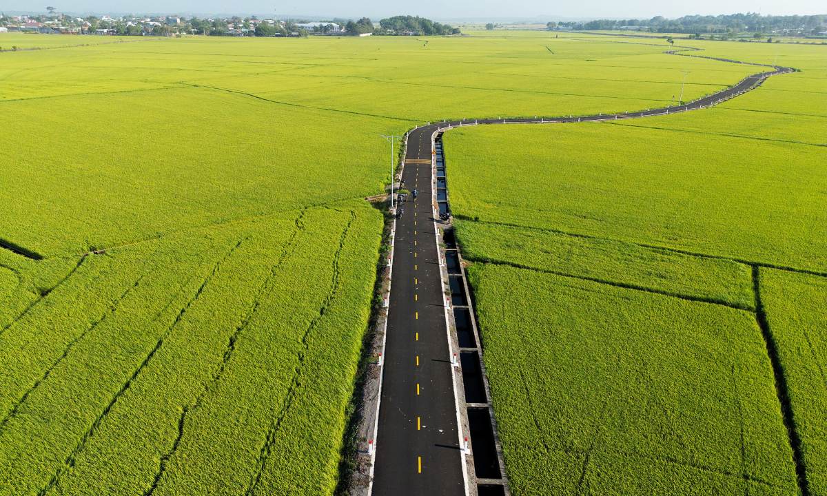 Gallery - Đường ruộng ở Bà Rịa - Vũng Tàu - VnExpress