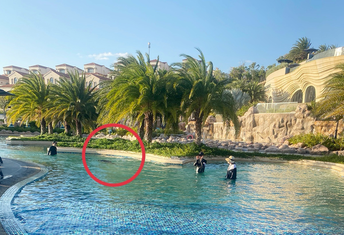 Bất thường trong vụ bé trai người Nhật chết tại hồ bơi resort 5 sao - Báo VnExpress