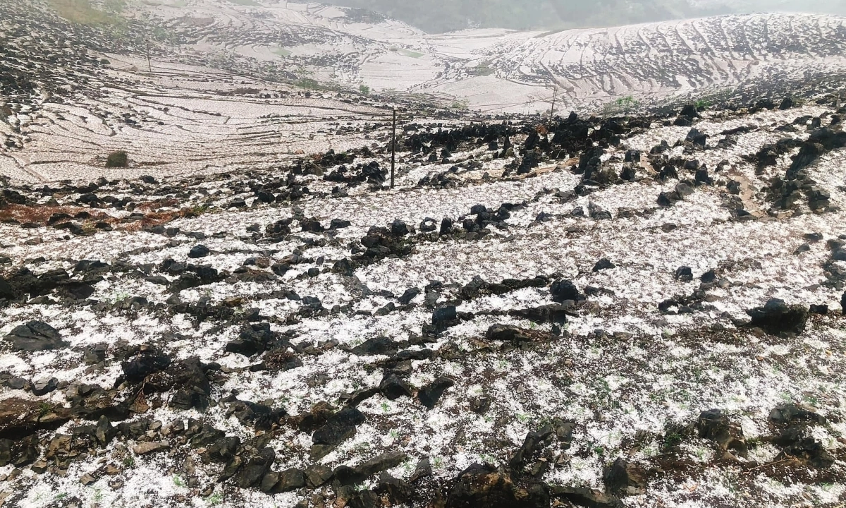 Gallery - Mưa đá phủ trắng mặt đất ở miền núi phía Bắc - VnExpress