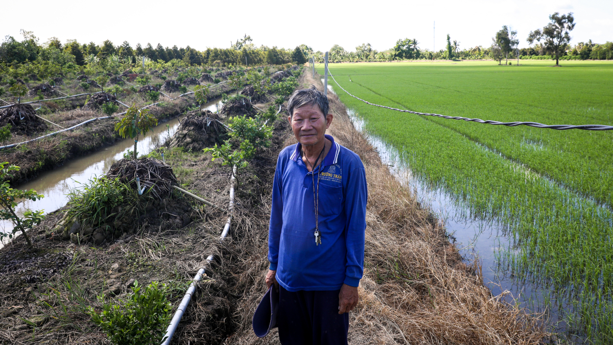Gallery - Nông dân miền Tây sau cuộc cách mạng năng suất