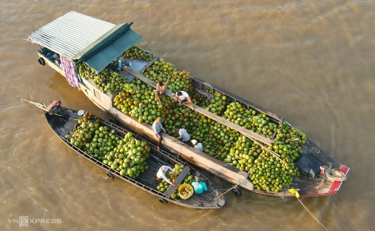Gallery - Hồn quê trên chợ nổi Long Xuyên - Báo VnExpress Du lịch