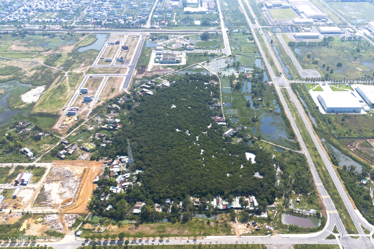 Gallery - Khu rừng giữa đô thị Đà Nẵng - Báo VnExpress