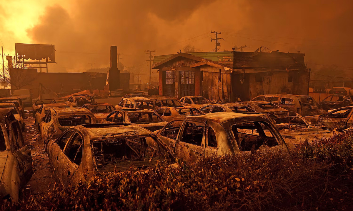 View - Los Angeles trước và sau thảm họa cháy rừng - Báo VnExpress