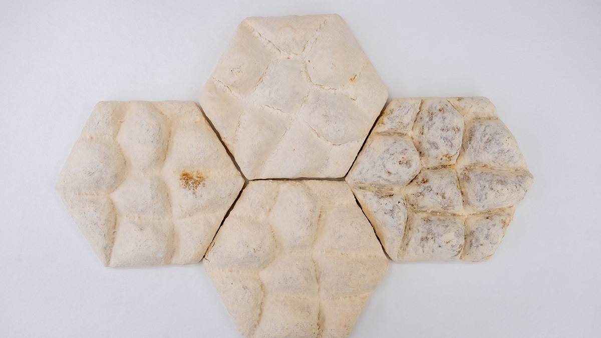Mushroom tiles with elephant skin texture help cool buildings