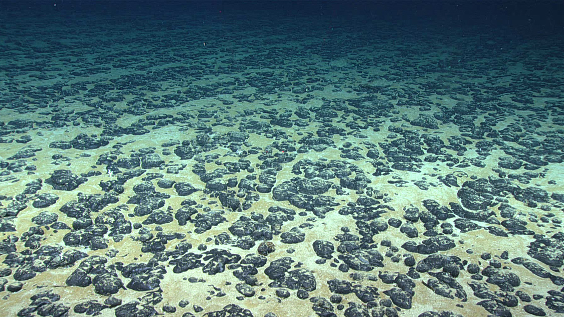 Should metals be mined on the deep seabed?