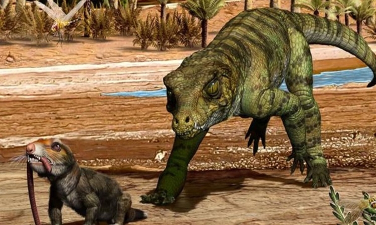 Bí quyết giúp cá sấu sống sót qua các cuộc đại tuyệt chủng