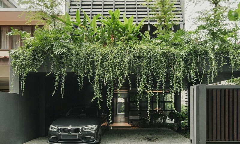 Ngôi nhà thiết kế theo hiệu ứng "vườn vô cực"