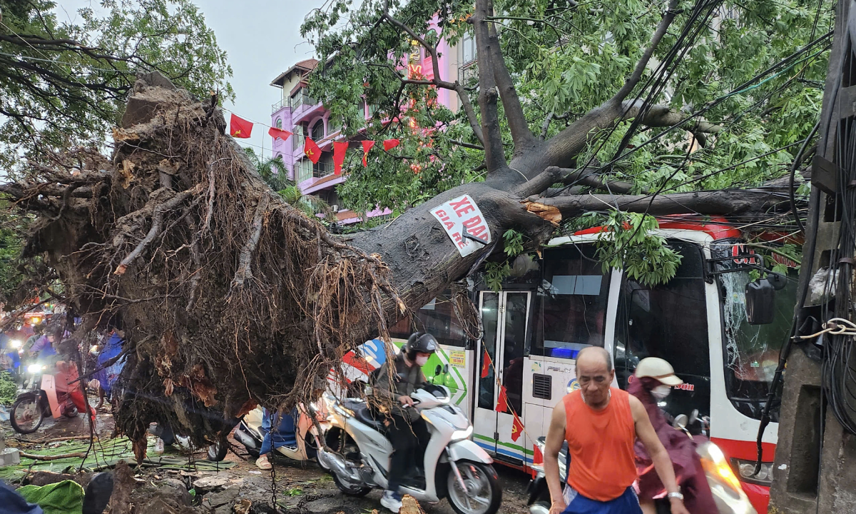 ‘Siêu giông không thể dự báo, sẽ xuất hiện nhiều hơn do biến đổi khí hậu’ ‘Siêu giông không thể dự báo, sẽ xuất hiện nhiều hơn do biến đổi khí hậu’