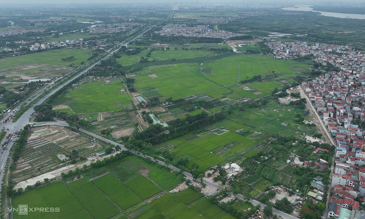 Lỡ mua đất có mộ, không sổ, làm sao để thoát mắc kẹt? Lỡ mua đất có mộ, không sổ, làm sao để thoát mắc kẹt?