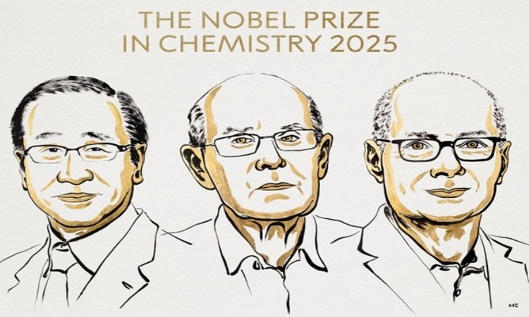 Nghiên cứu cấu trúc phân tử mới đoạt giải Nobel Hóa học 2025