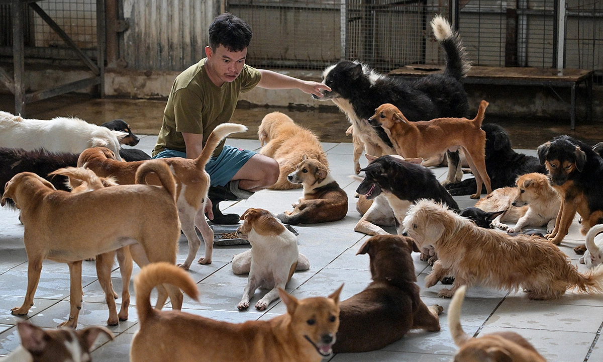 Người Jakarta tranh cãi về lệnh cấm thịt chó