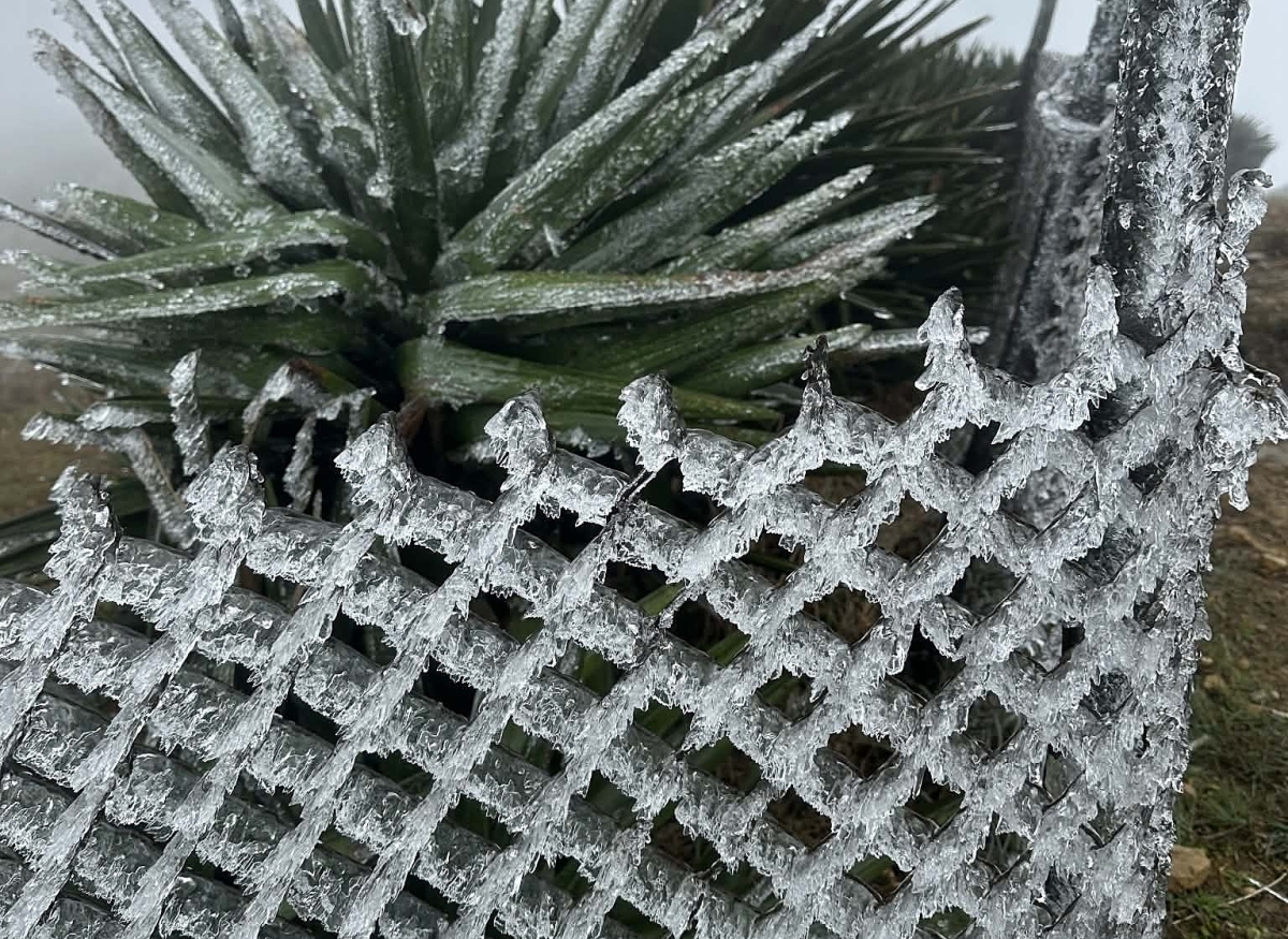 View - Đỉnh núi Mẫu Sơn xuất hiện băng - Báo VnExpress