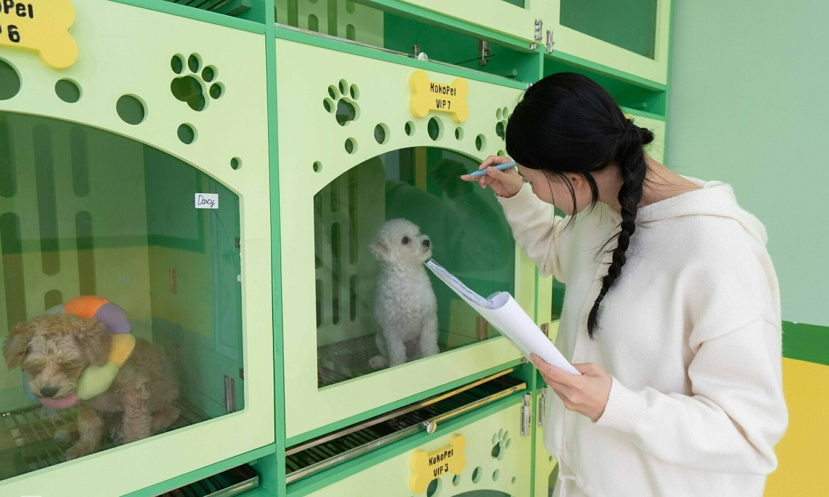 Gallery - Cửa hàng chăm sóc, trông giữ thú cưng tất bật dịp Tết - Báo VnExpress