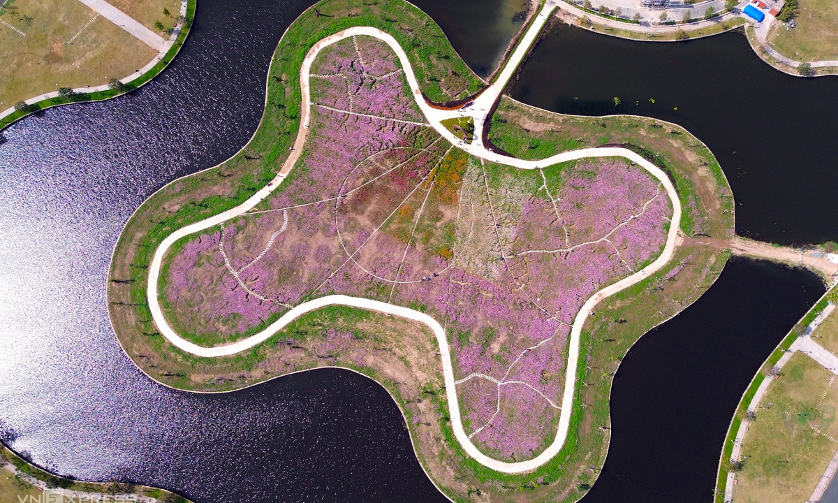 Gallery - Đảo hoa cánh bướm lớn nhất Cà Mau tấp nập khách du xuân - Báo VnExpress Du lịch