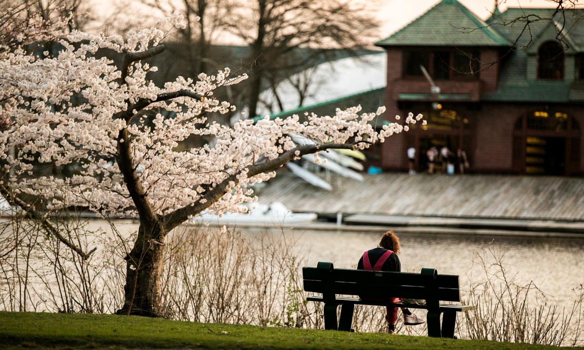Sinh viên Harvard hụt hẫng vì 'vùng xám' trợ cấp