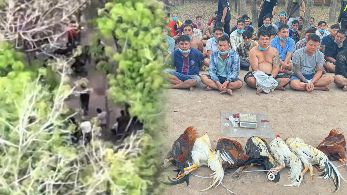 Dùng flycam theo dõi trường gà ở TP HCM, cảnh sát đột kích bắt hàng chục người