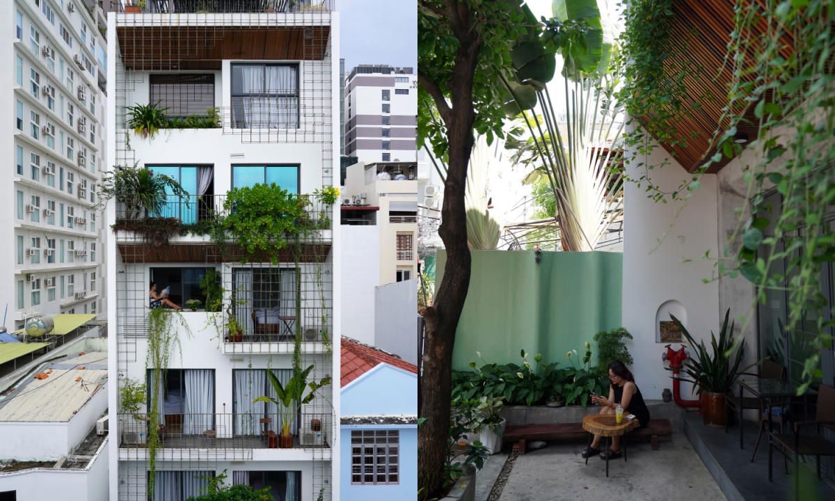 Nhà phố với vườn cây treo thích ứng khí hậu biển