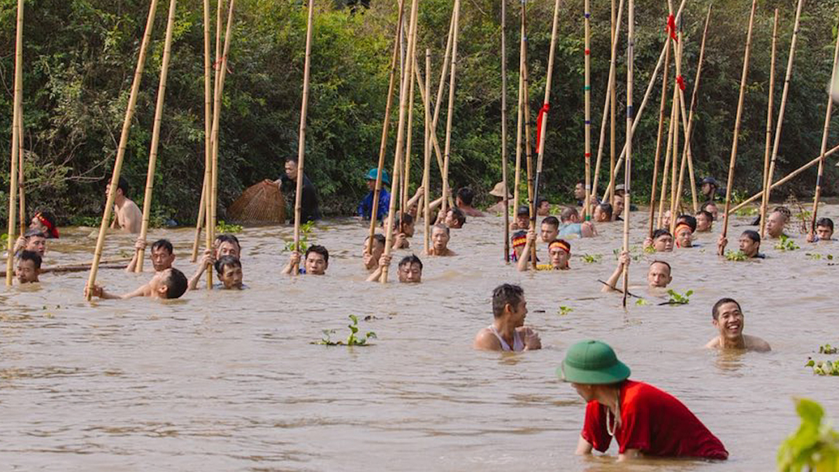 Dập sào bắt cá trên sông Tích