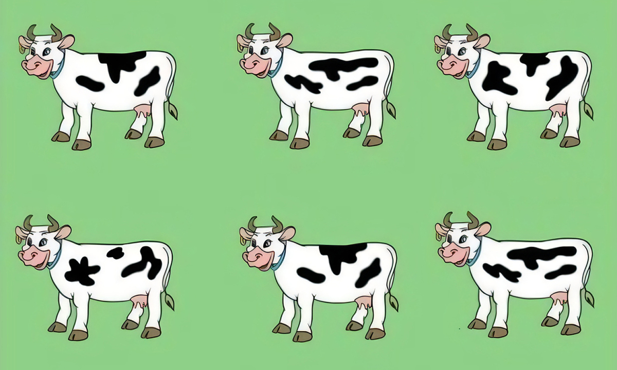 Trong 9 con bò, đâu là 'kẻ lạ mặt'?