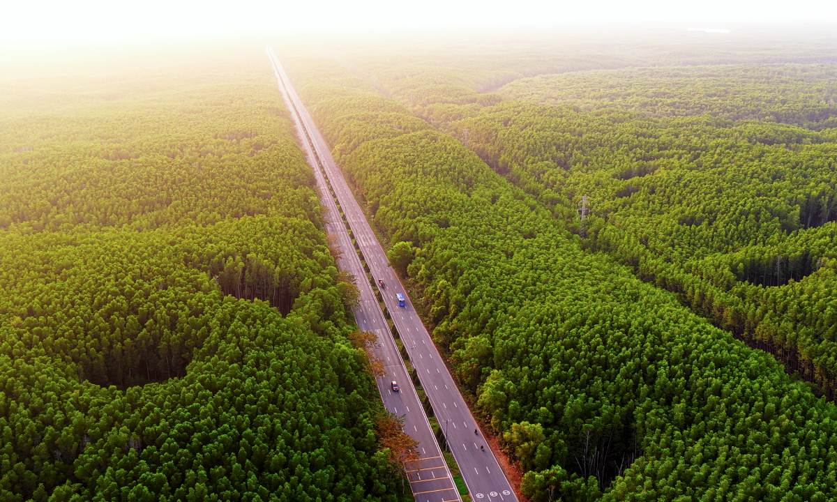 Yếu tố giúp Cần Giờ thành cực tăng trưởng du lịch mới