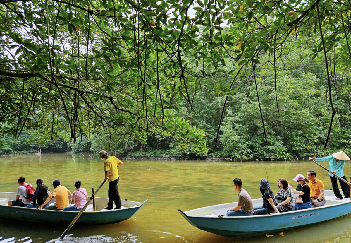 Trải nghiệm nên thử khi đến Cần Giờ