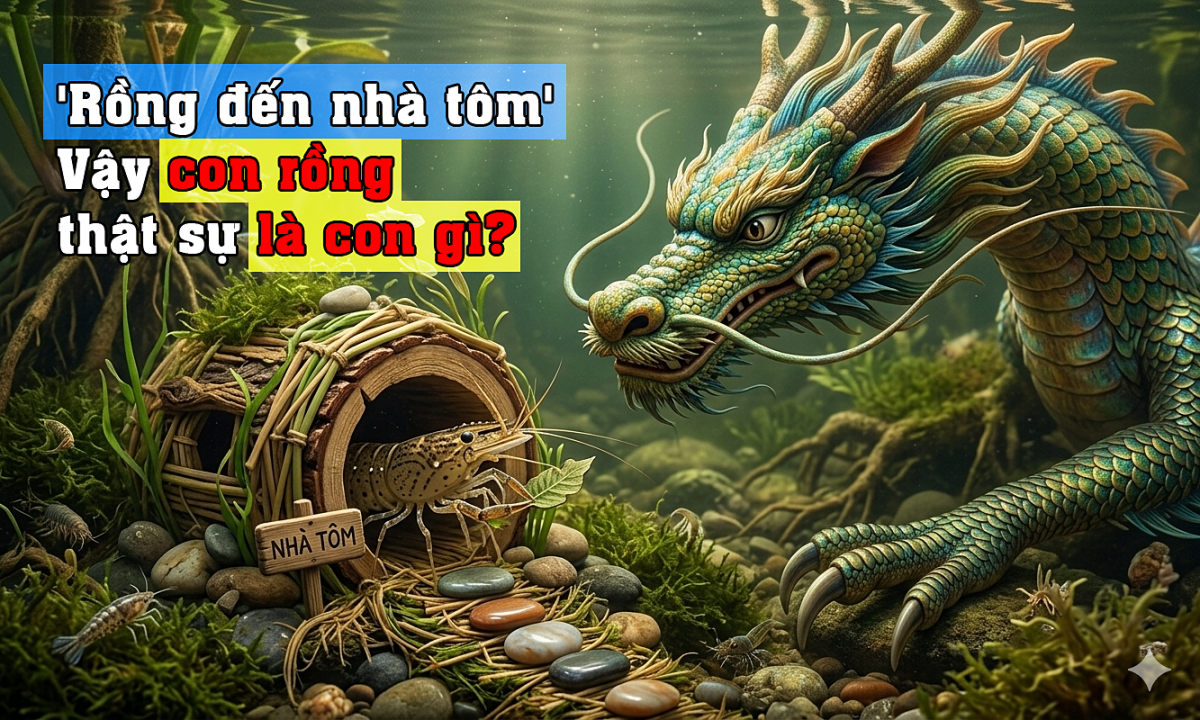 'Rồng đến nhà tôm', vậy con rồng thật sự là con gì?