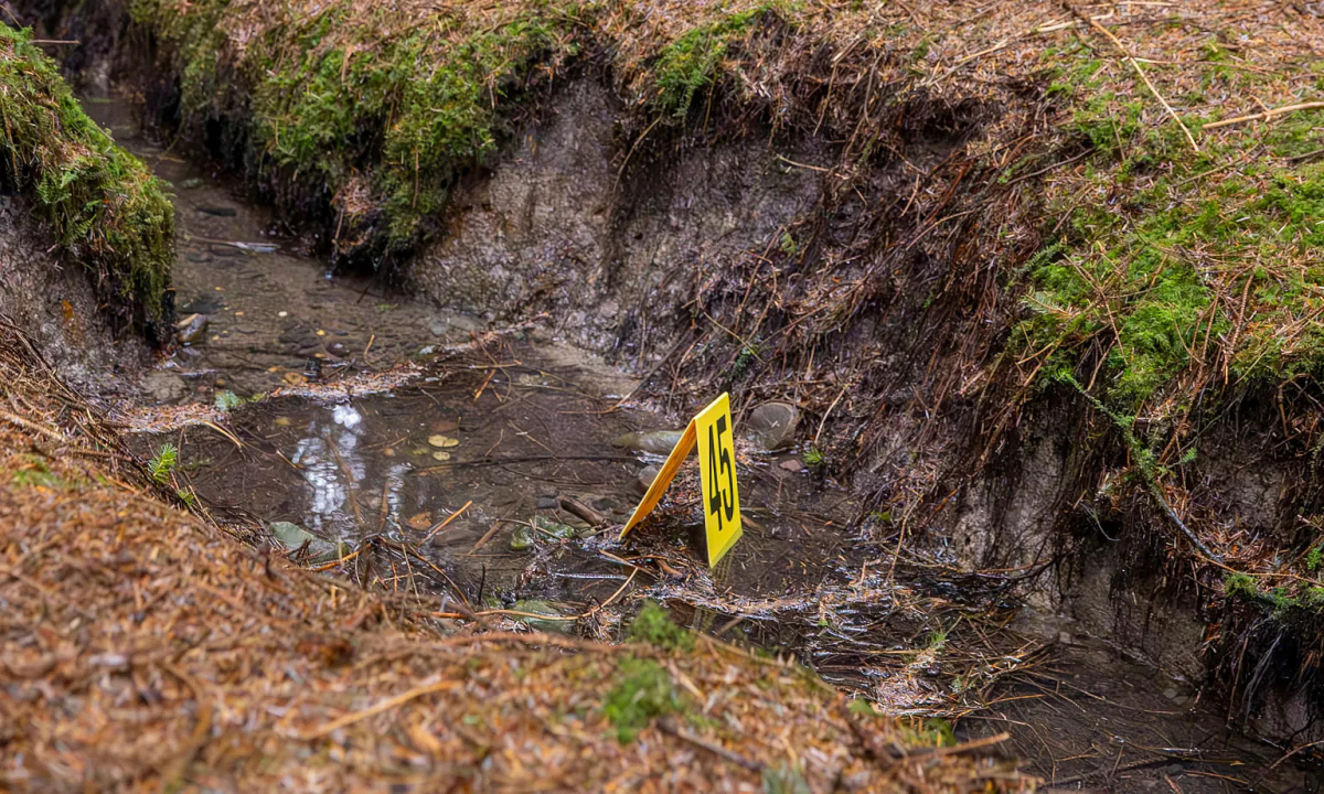 Kẻ sát nhân 'tự chui đầu vào lưới' sau 15 năm ngỡ thoát tội