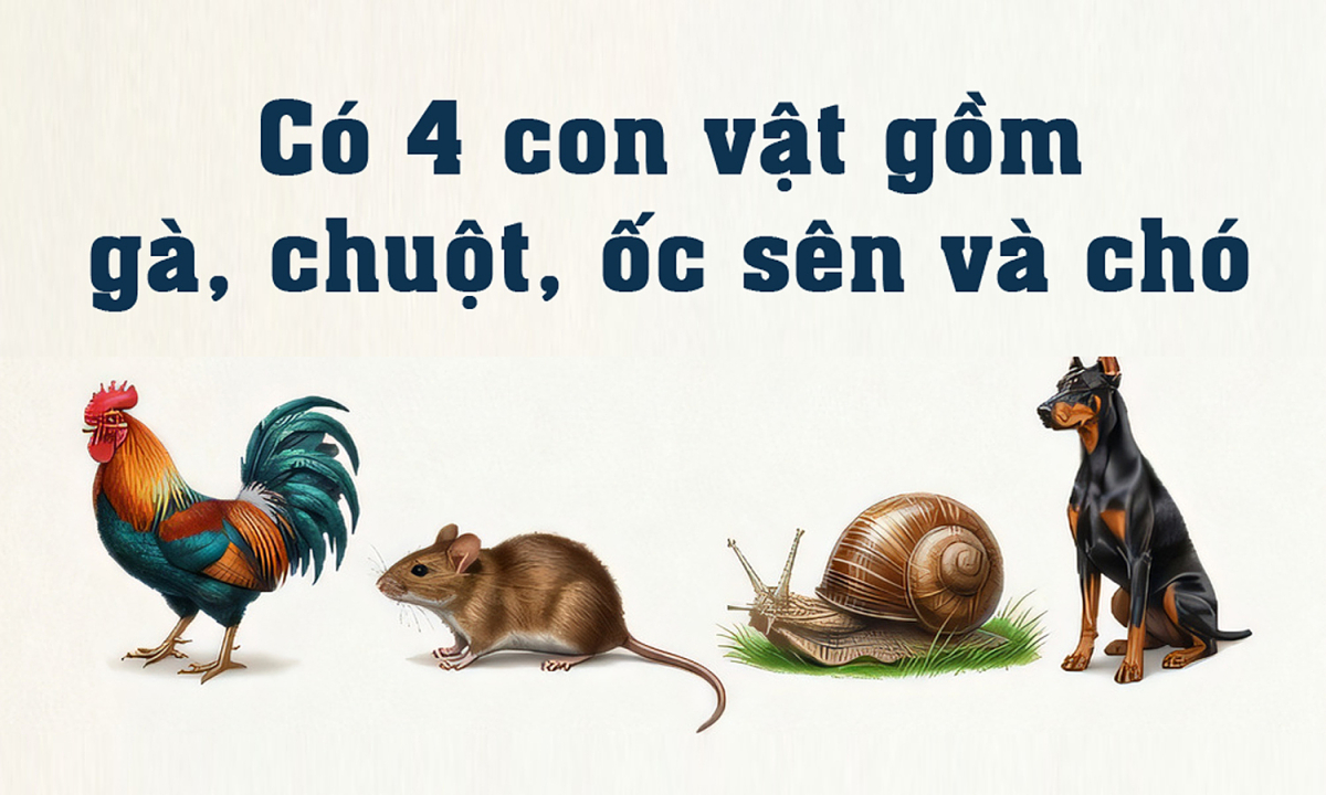 Gà, chuột, ốc sên và chó: Con vật nào về nhà trước tiên?