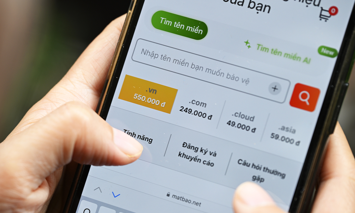 Tên miền ".vn" sẽ cấp phát tự do sau hai lần đấu giá không thành