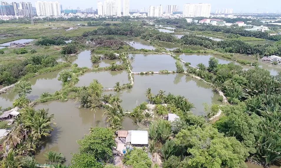 TP HCM loại 33 khu đất khỏi danh mục thí điểm nhà ở thương mại