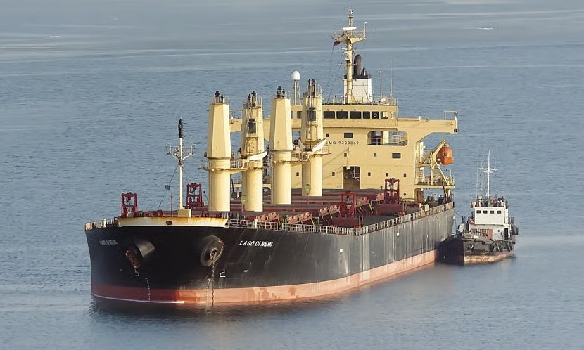 Ukraine kêu gọi Israel bắt tàu hàng Nga