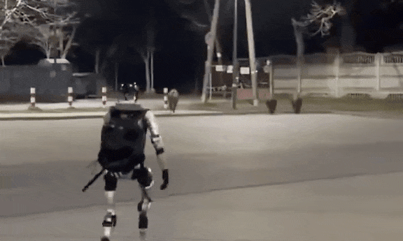 Video robot hình người đuổi lợn rừng gây sốt