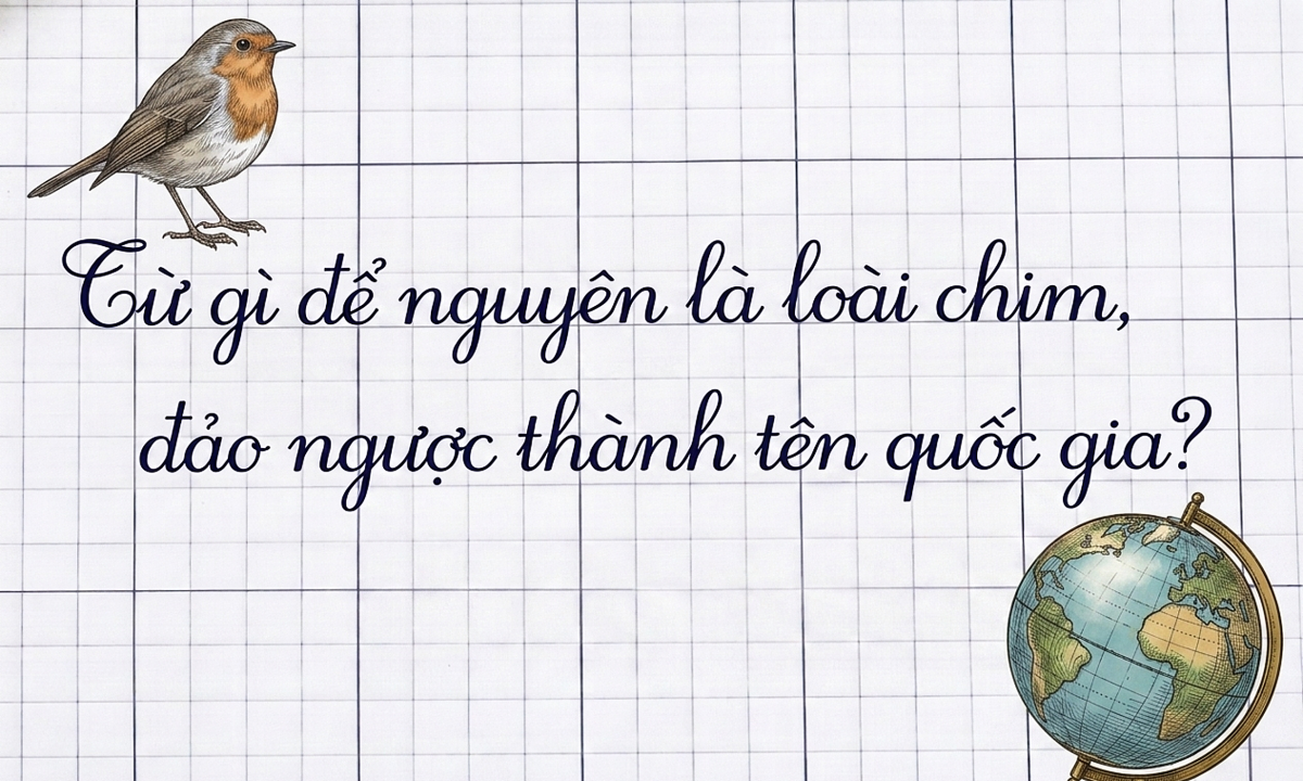 Từ gì là chim, đảo ngược lại thành tên một quốc gia?