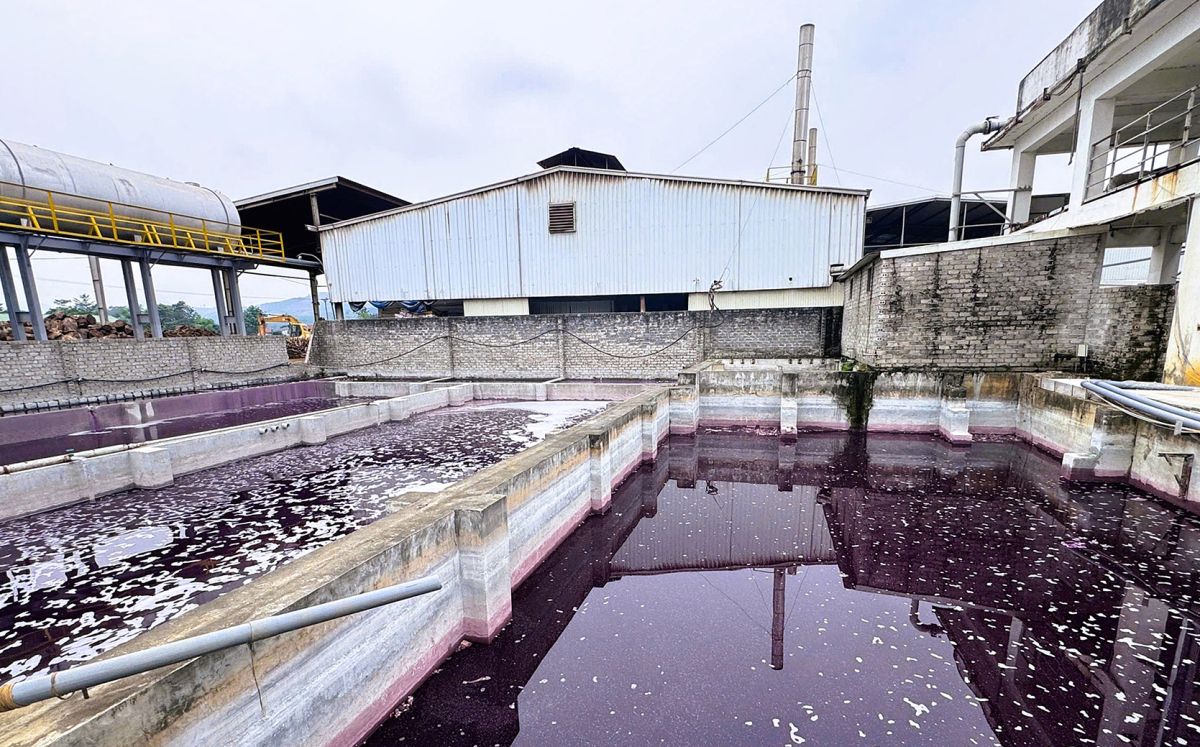 Dừng hoạt động nhà máy giặt là khiến nước giếng đổi màu