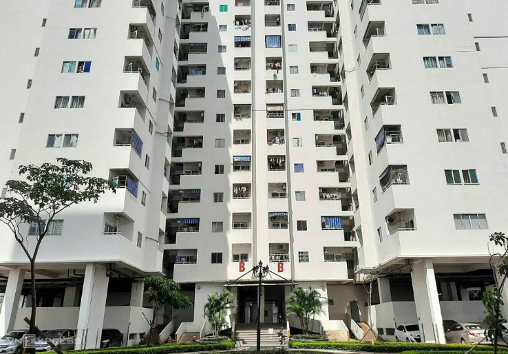 Được ưu tiên mua nhà ở xã hội, bạn sẽ sinh đủ hai con?