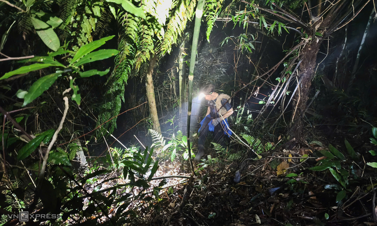 Cảnh báo rủi ro với những người leo núi Tam Đảo tự phát