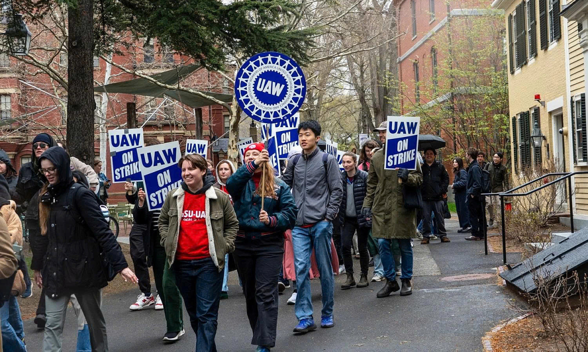 Nghiên cứu sinh Harvard than lương trợ giảng 'bèo bọt'