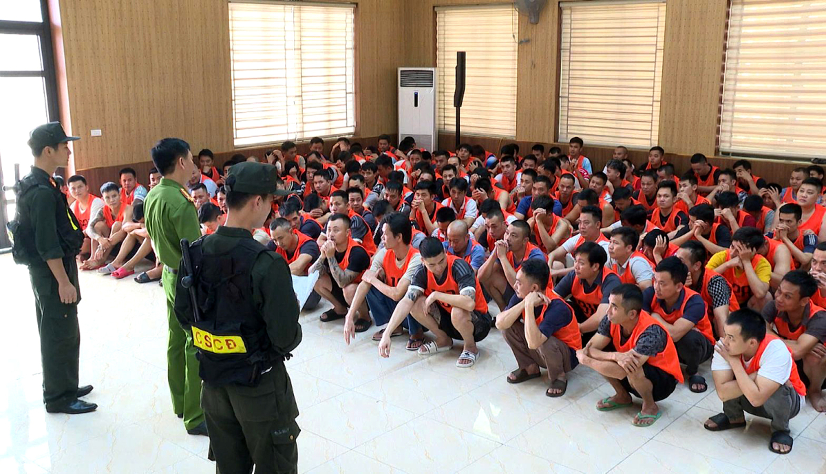 Xóa sổ trường gà quốc tế có giao dịch đánh bạc hơn 1.200 tỷ đồng