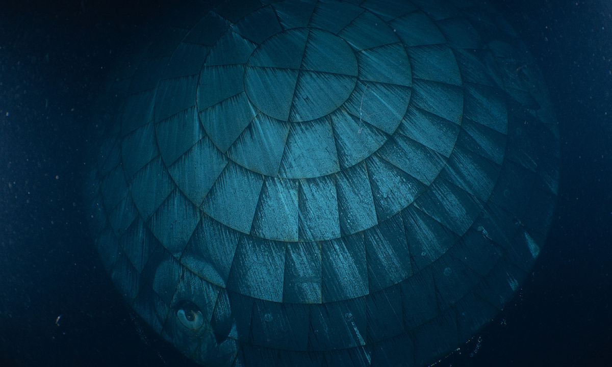 Tấm chắn nhiệt của tàu Artemis II vượt qua thử thách khắc nghiệt