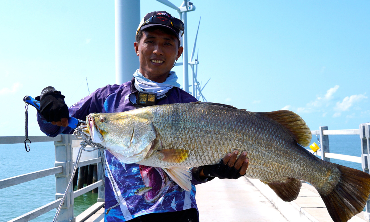 Săn cá 'khủng' ở chân cầu điện gió