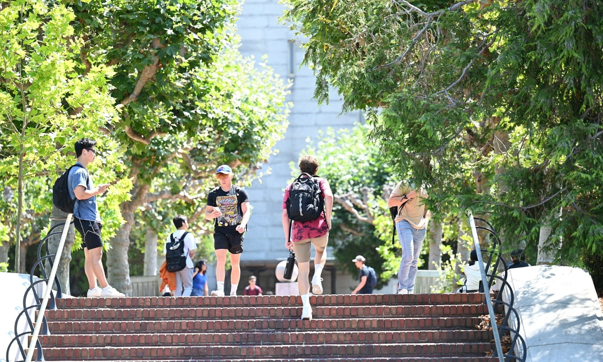 Nhiều du học sinh Mỹ điêu đứng vì lệnh dừng OPT