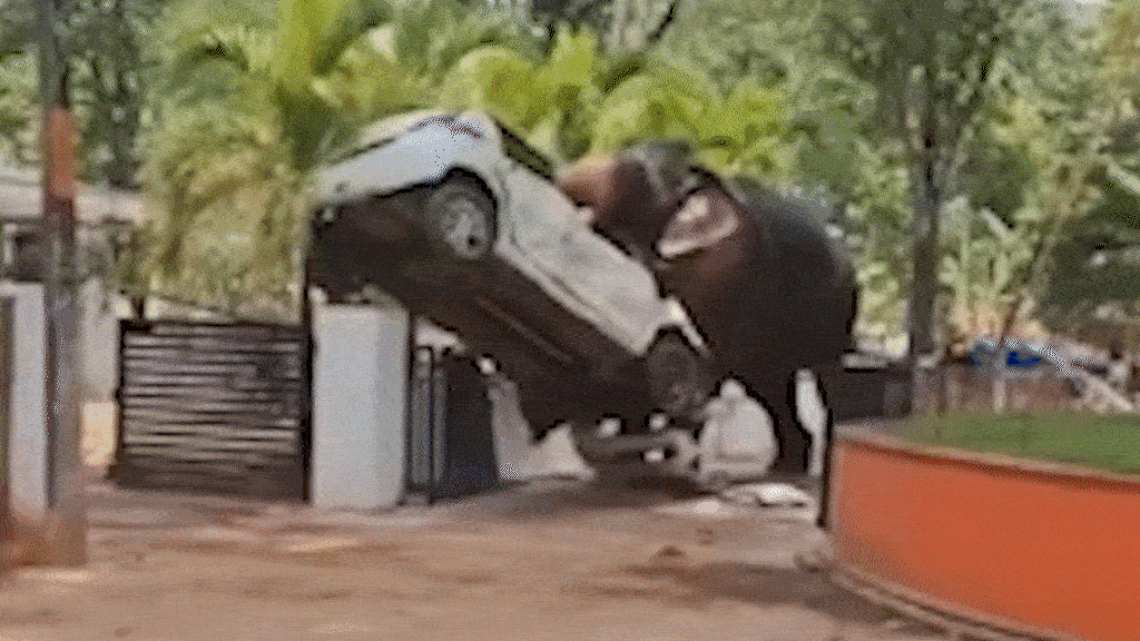 Voi quật nát ôtô, một người chết ở Ấn Độ