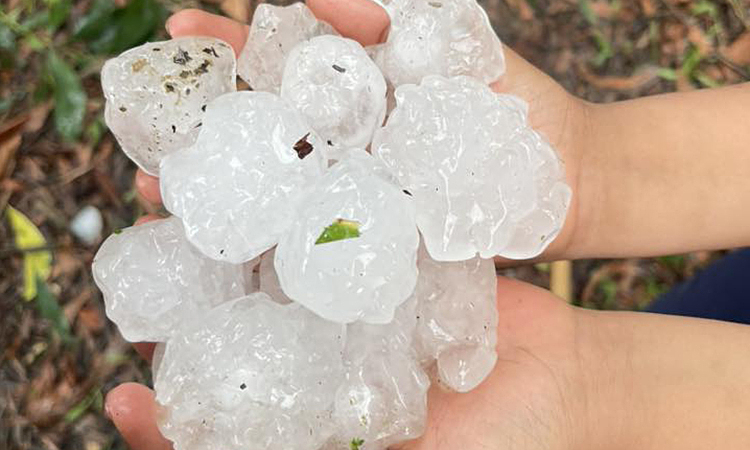 Mưa đá to bằng quả trứng đổ xuống Nghệ An, Hà Tĩnh