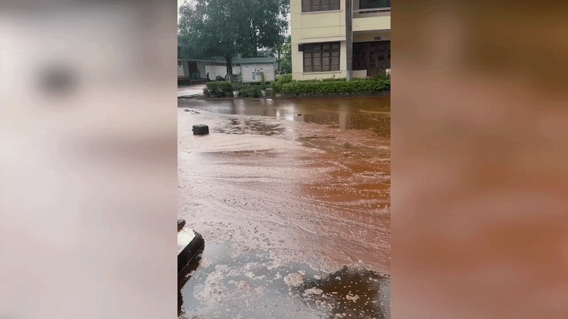 Sét đánh trúng bể chứa nhà máy đường, 2.000 tấn mật tràn ra ngoài