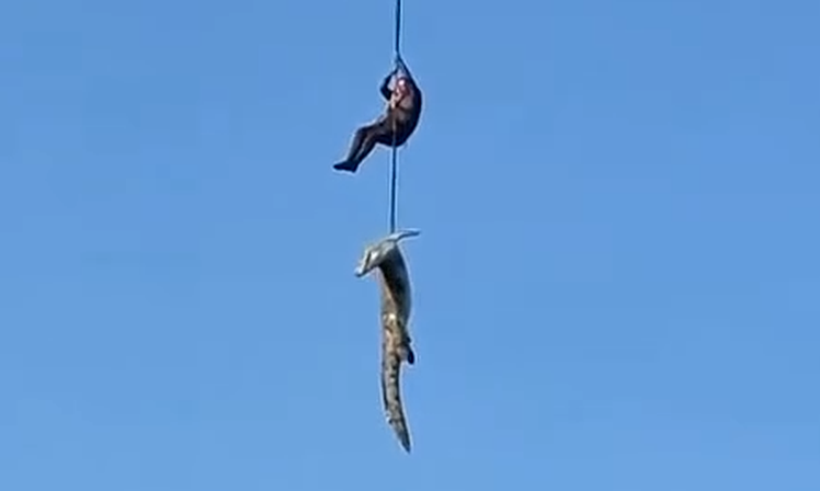 Cảnh sát dùng trực thăng bắt cá sấu để điều tra vụ mất tích