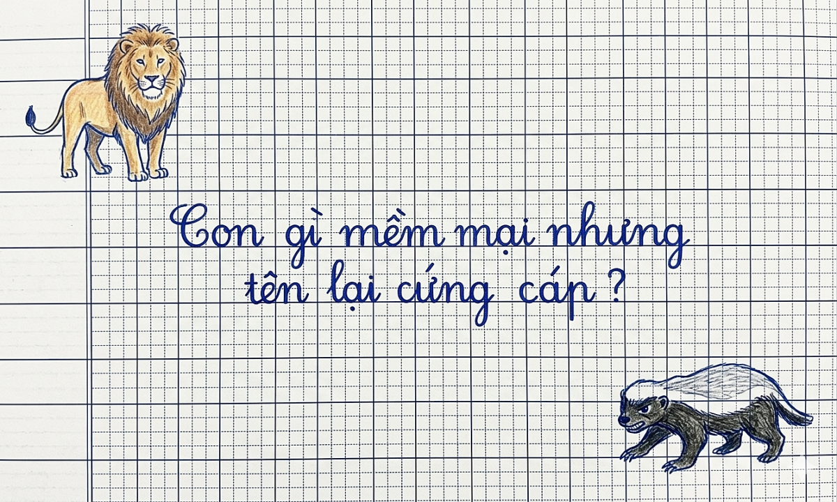 Con gì mềm mại nhưng tên lại cứng cáp?