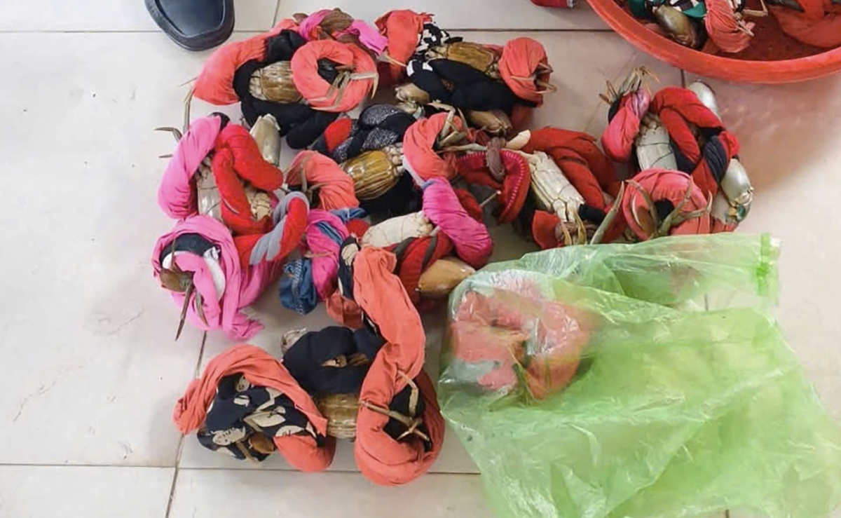 Cười ra nước mắt vì 'mua 2,5 ký vải lãi 7,5 kg cua'